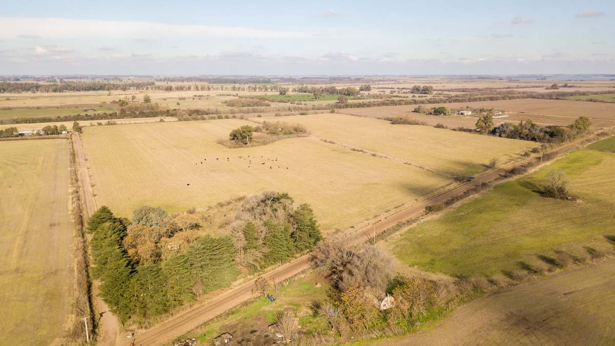 R077 – Campo de 27 hectáreas en Lobos WEB-3