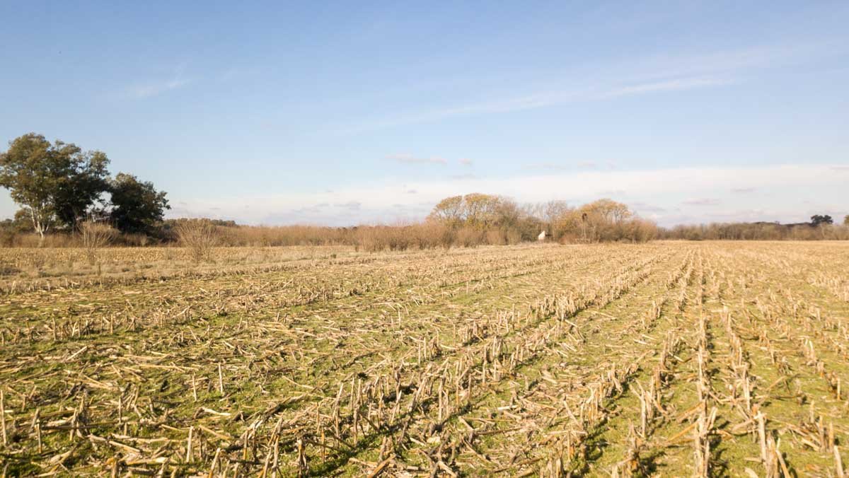 R077 – Campo de 27 hectáreas en Lobos WEB-4