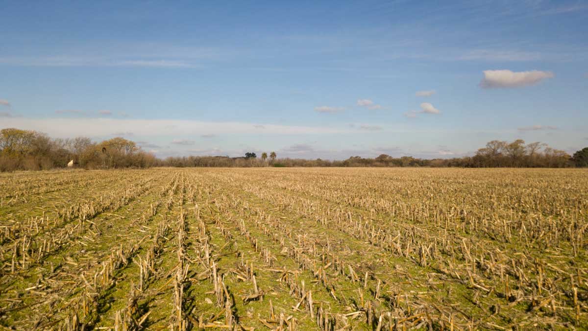 R077 – Campo de 27 hectáreas en Lobos WEB-5