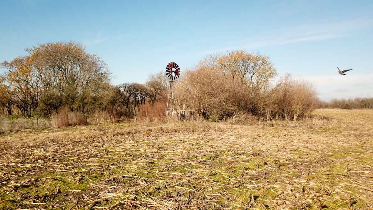 R077 – Campo de 27 hectáreas en Lobos WEB-6