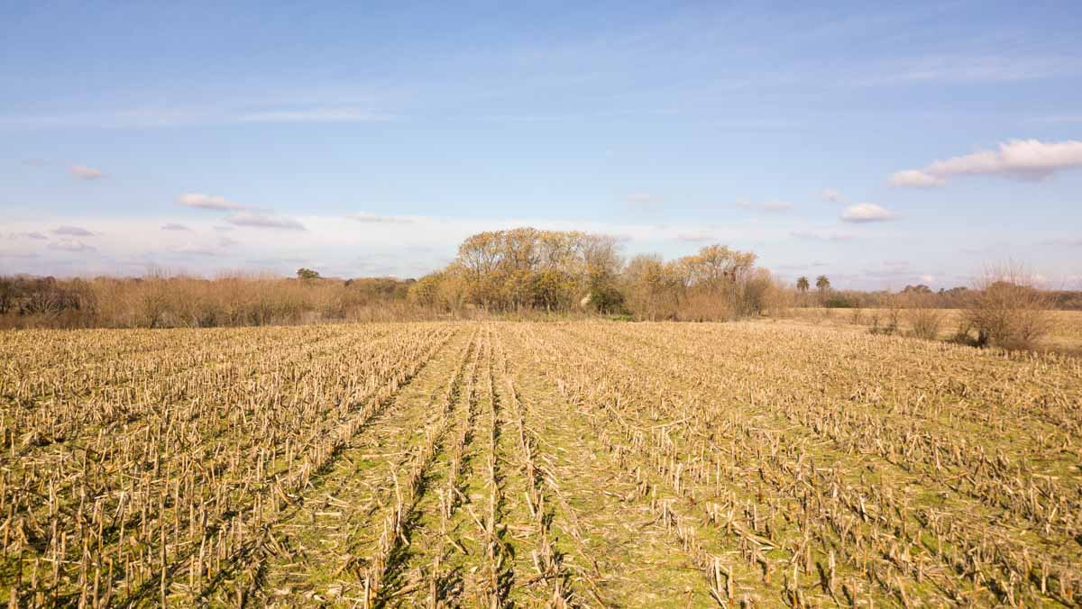 R077 – Campo de 27 hectáreas en Lobos WEB-7