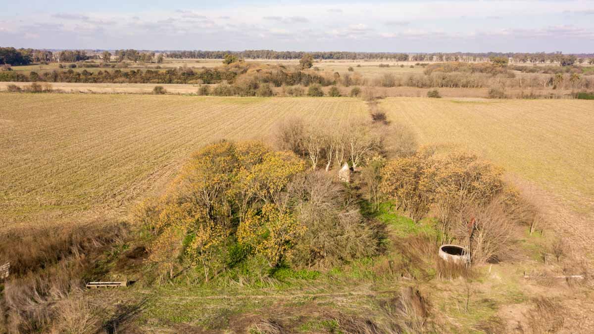R077 – Campo de 27 hectáreas en Lobos WEB