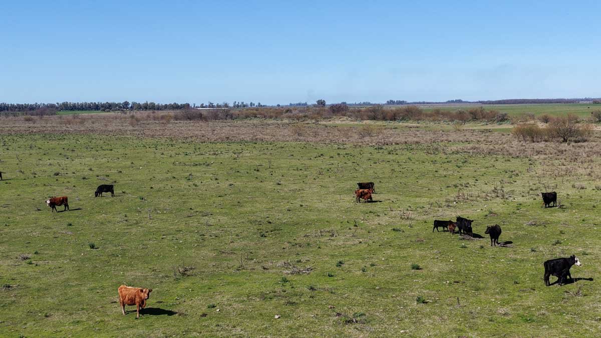 R079 – Campo de 180 hectareas en Lobos, Bs As -web-12