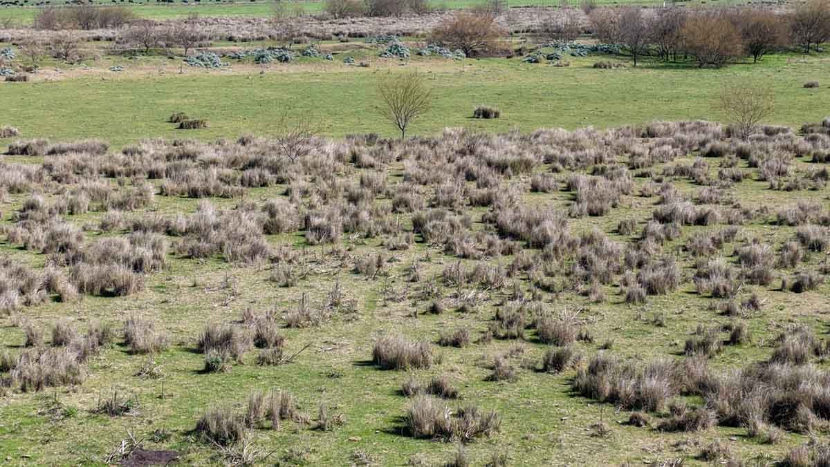 R079 – Campo de 180 hectareas en Lobos, Bs As -web-13