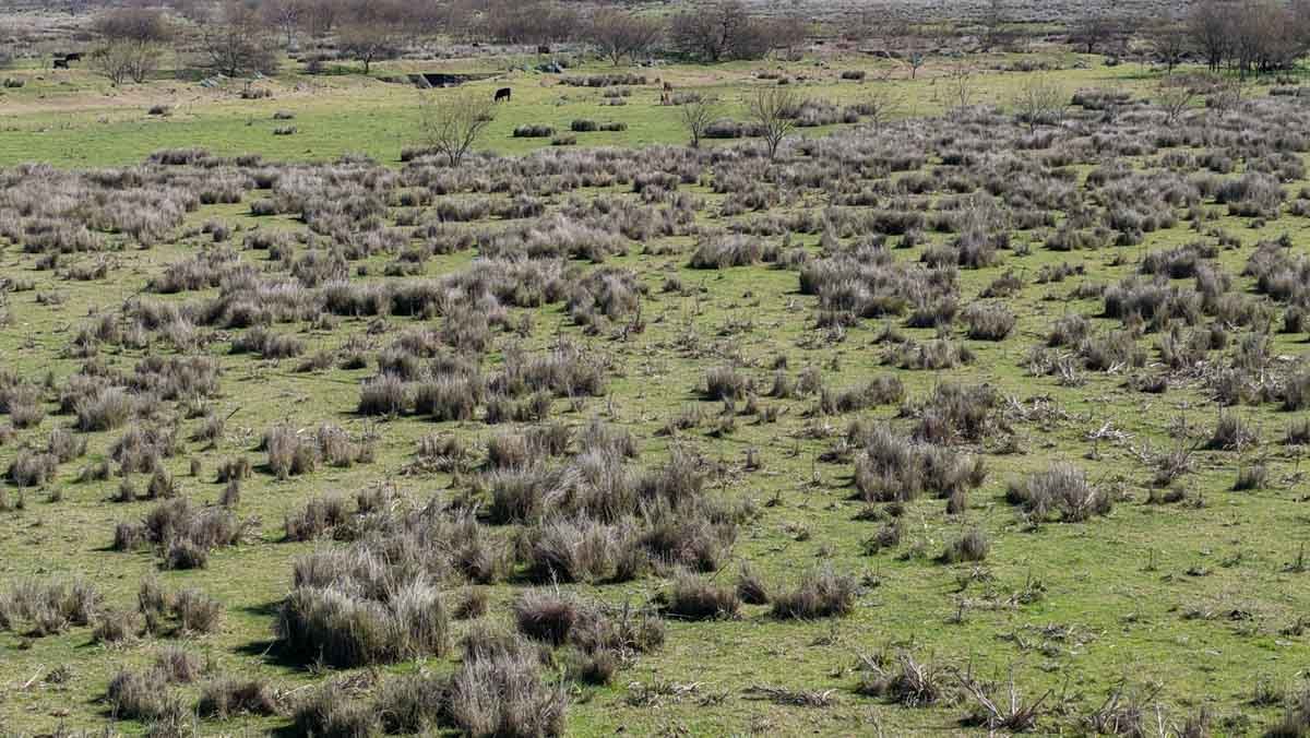 R079 – Campo de 180 hectareas en Lobos, Bs As -web-14