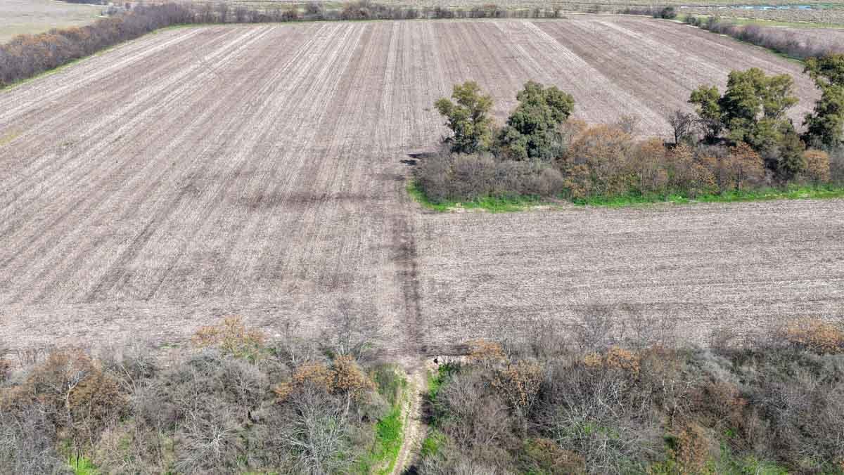 R079 – Campo de 180 hectareas en Lobos, Bs As -web-15