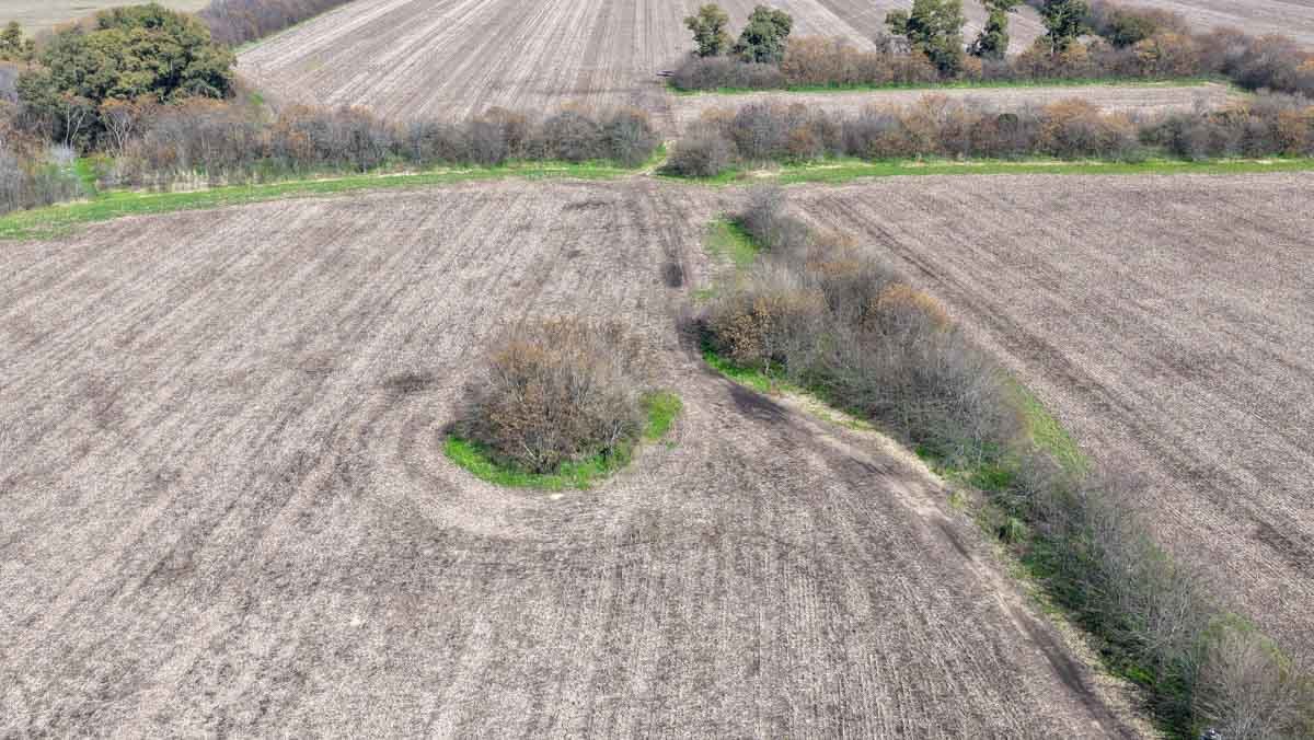 R079 – Campo de 180 hectareas en Lobos, Bs As -web-16