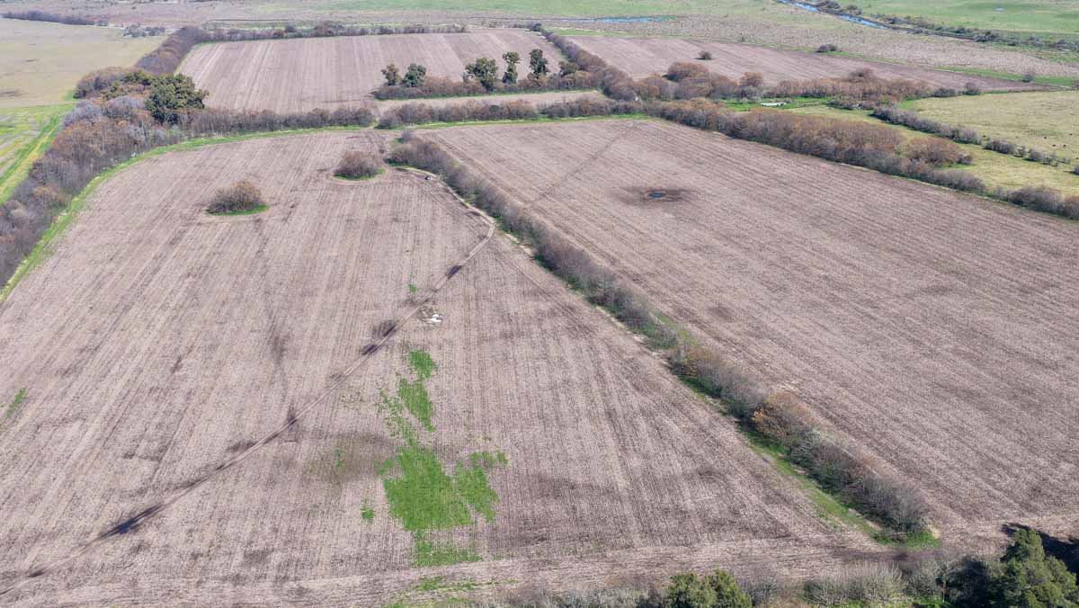R079 – Campo de 180 hectareas en Lobos, Bs As -web-18