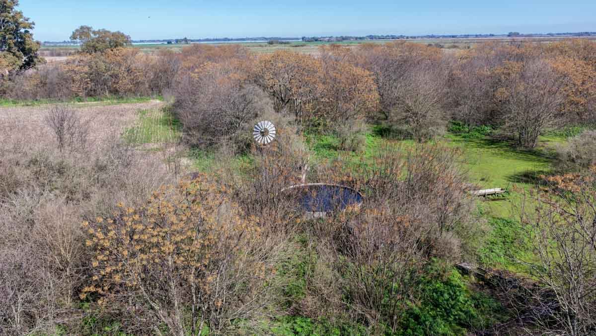 R079 – Campo de 180 hectareas en Lobos, Bs As -web-19