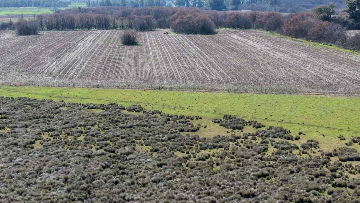 R079 – Campo de 180 hectareas en Lobos, Bs As -web-2