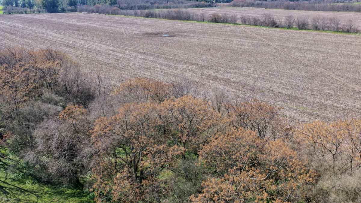 R079 – Campo de 180 hectareas en Lobos, Bs As -web-20