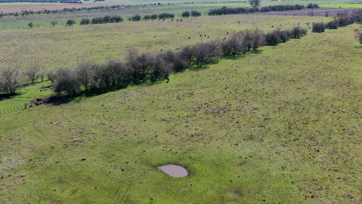 R079 – Campo de 180 hectareas en Lobos, Bs As -web-21