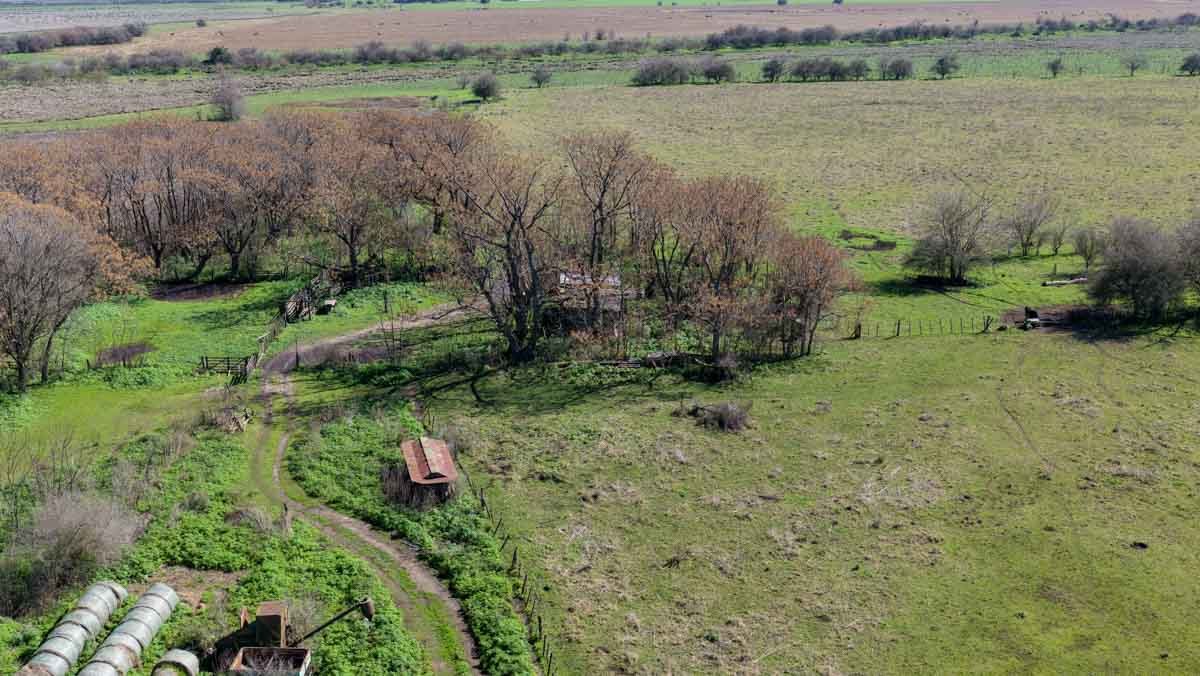 R079 – Campo de 180 hectareas en Lobos, Bs As -web-22