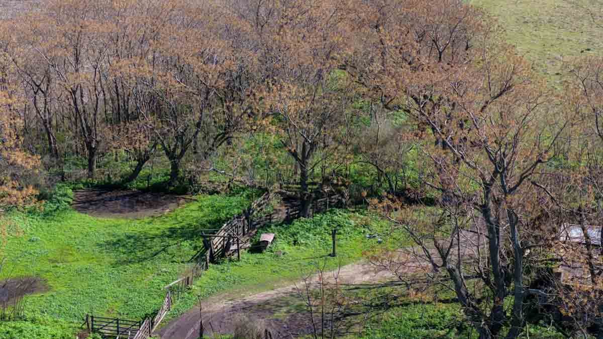 R079 – Campo de 180 hectareas en Lobos, Bs As -web-23