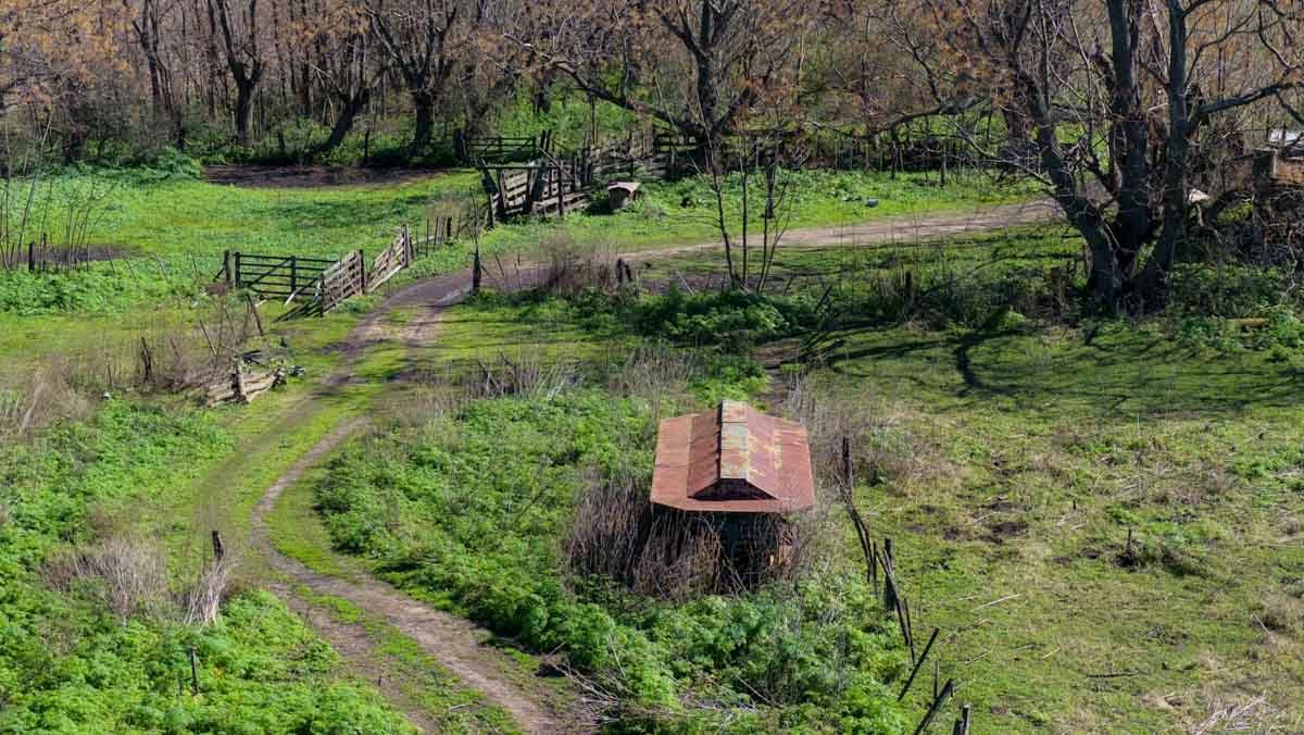 R079 – Campo de 180 hectareas en Lobos, Bs As -web-25
