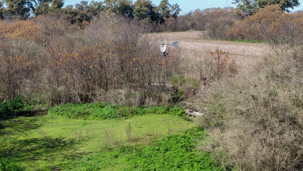 R079 – Campo de 180 hectareas en Lobos, Bs As -web-26