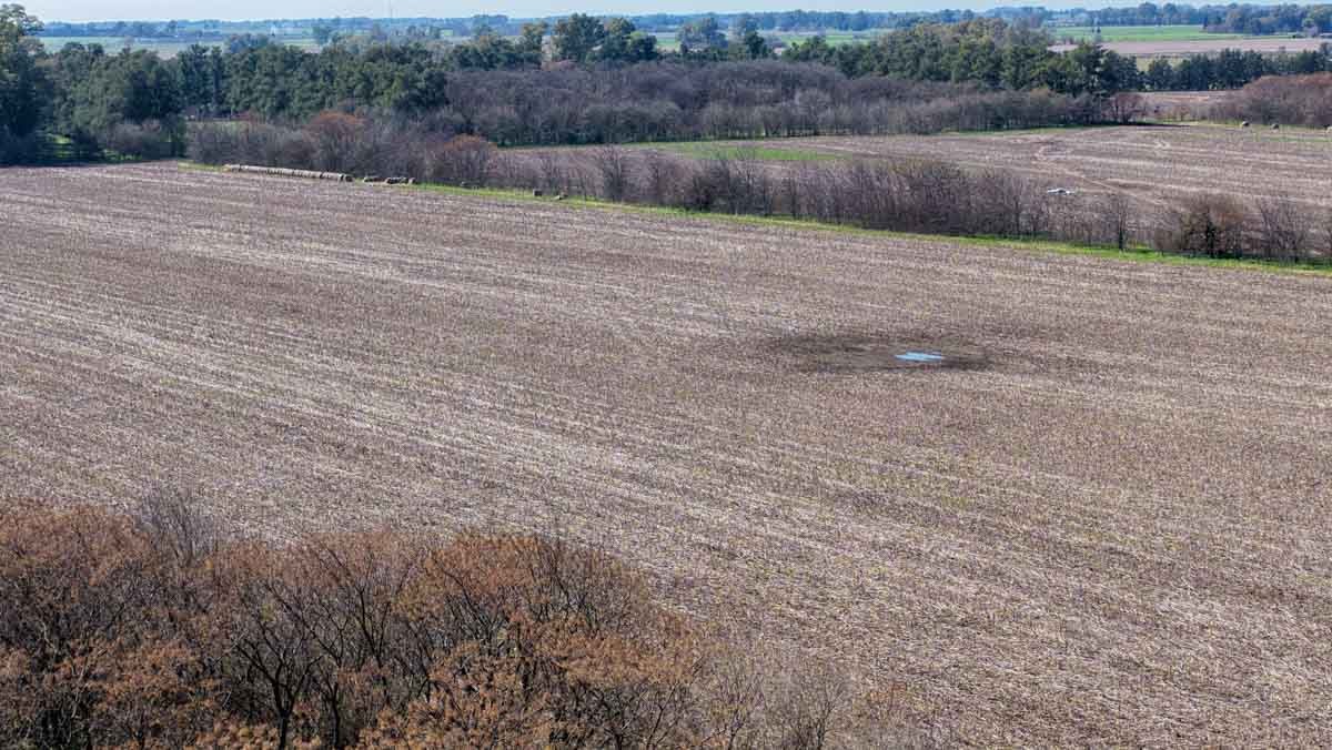 R079 – Campo de 180 hectareas en Lobos, Bs As -web-27