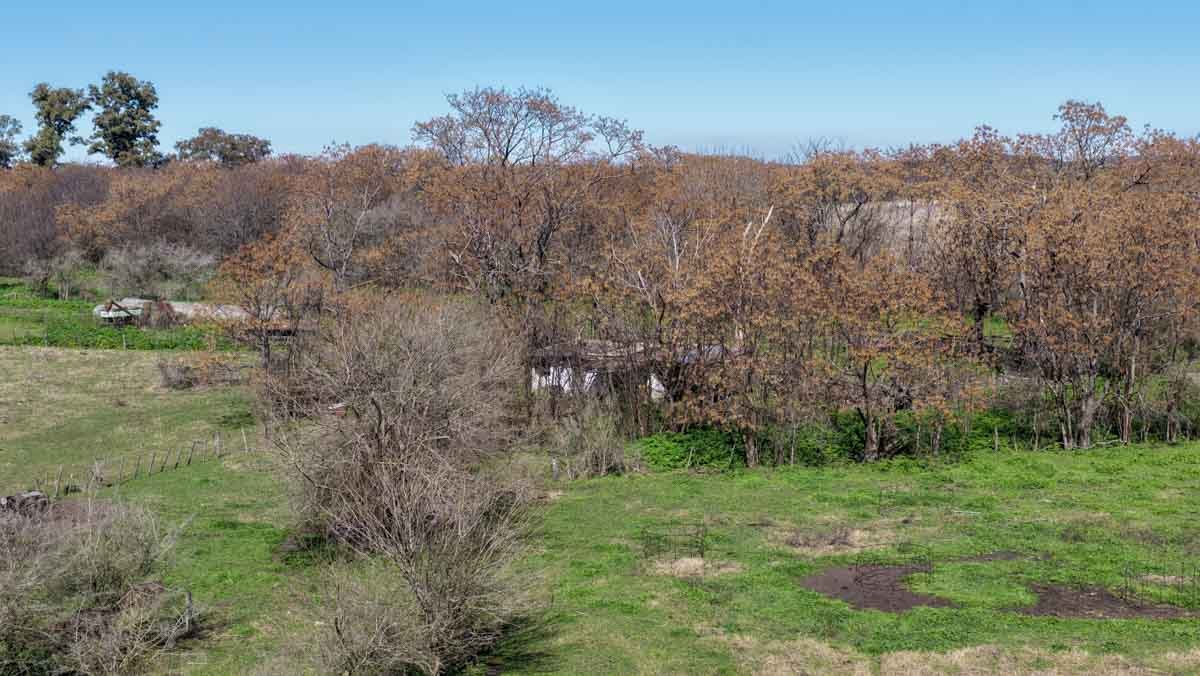 R079 – Campo de 180 hectareas en Lobos, Bs As -web-28