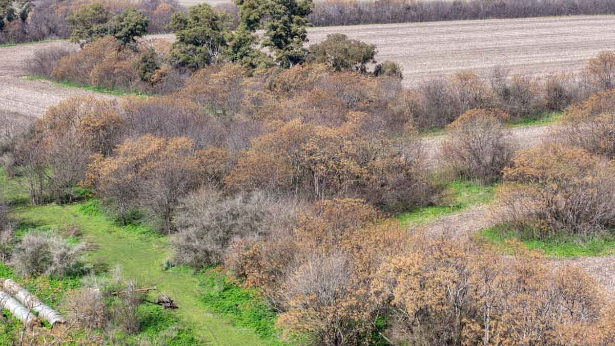 R079 – Campo de 180 hectareas en Lobos, Bs As -web-29