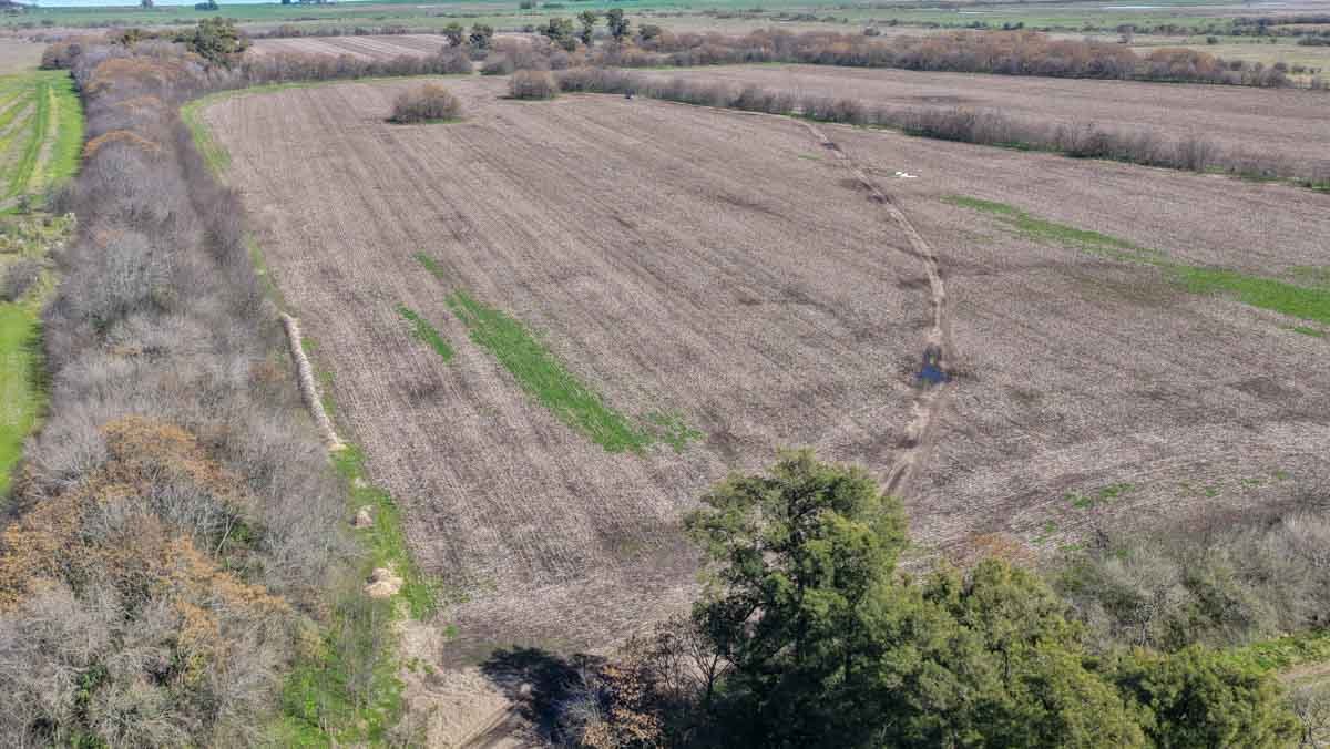 R079 – Campo de 180 hectareas en Lobos, Bs As -web-30