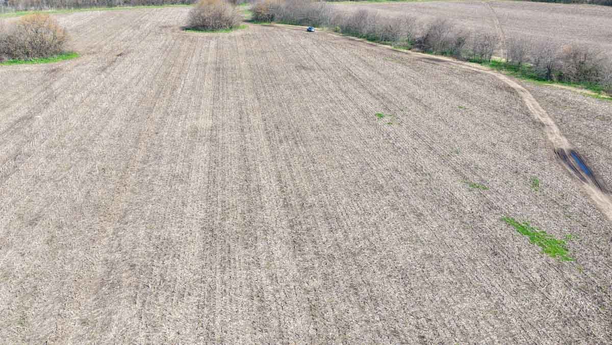 R079 – Campo de 180 hectareas en Lobos, Bs As -web-32