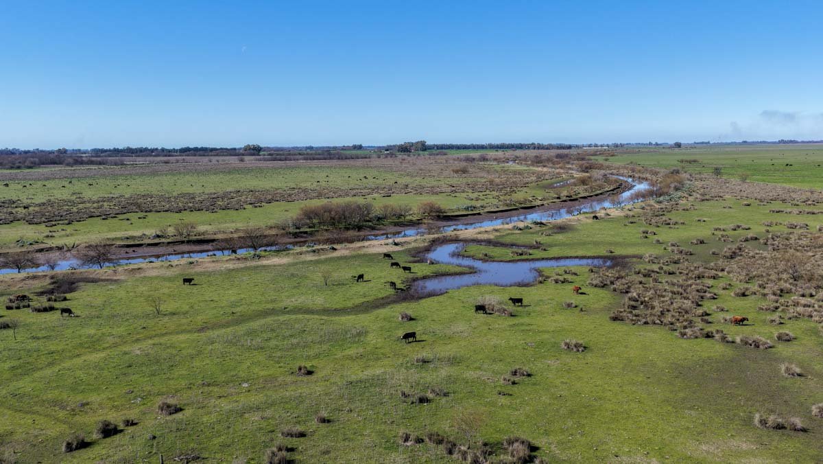 R079 – Campo de 180 hectareas en Lobos, Bs As -web-4