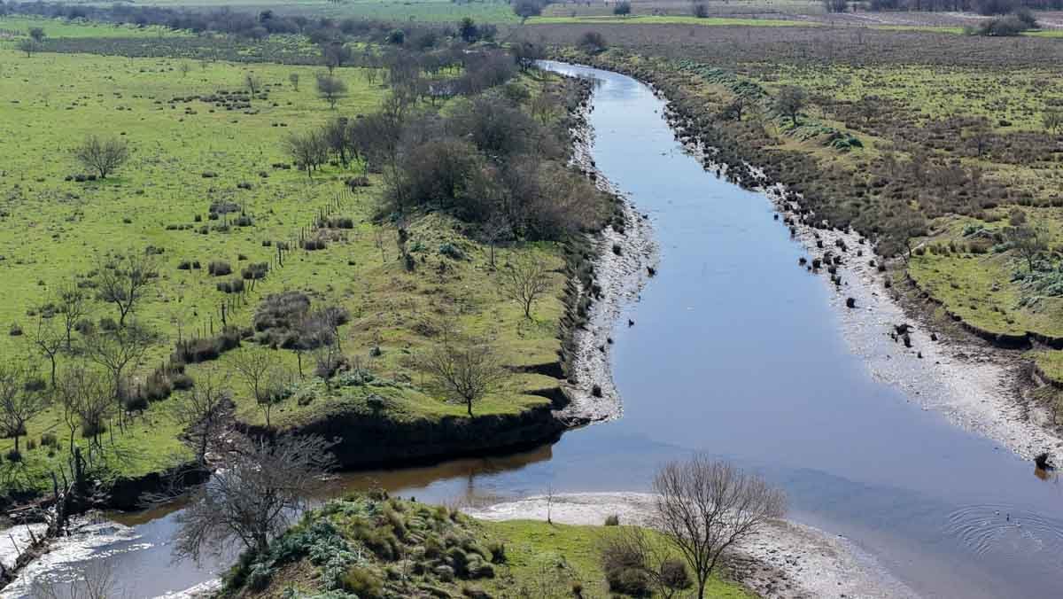 R079 – Campo de 180 hectareas en Lobos, Bs As -web-5