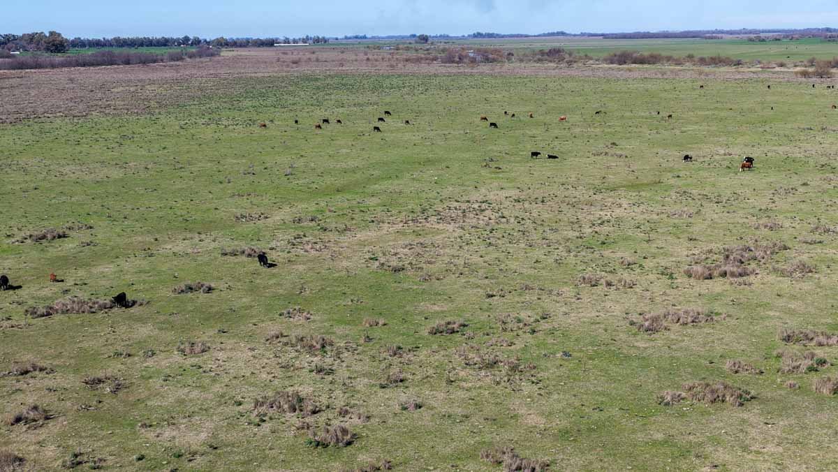 R079 – Campo de 180 hectareas en Lobos, Bs As -web-6
