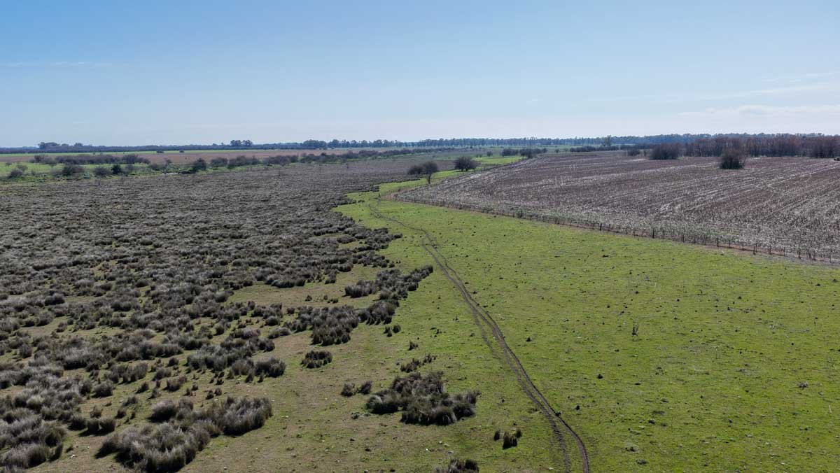 R079 – Campo de 180 hectareas en Lobos, Bs As -web-7