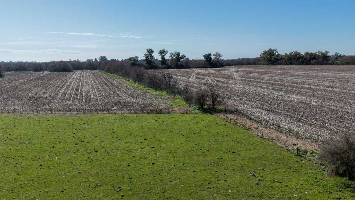 R079 – Campo de 180 hectareas en Lobos, Bs As -web-8