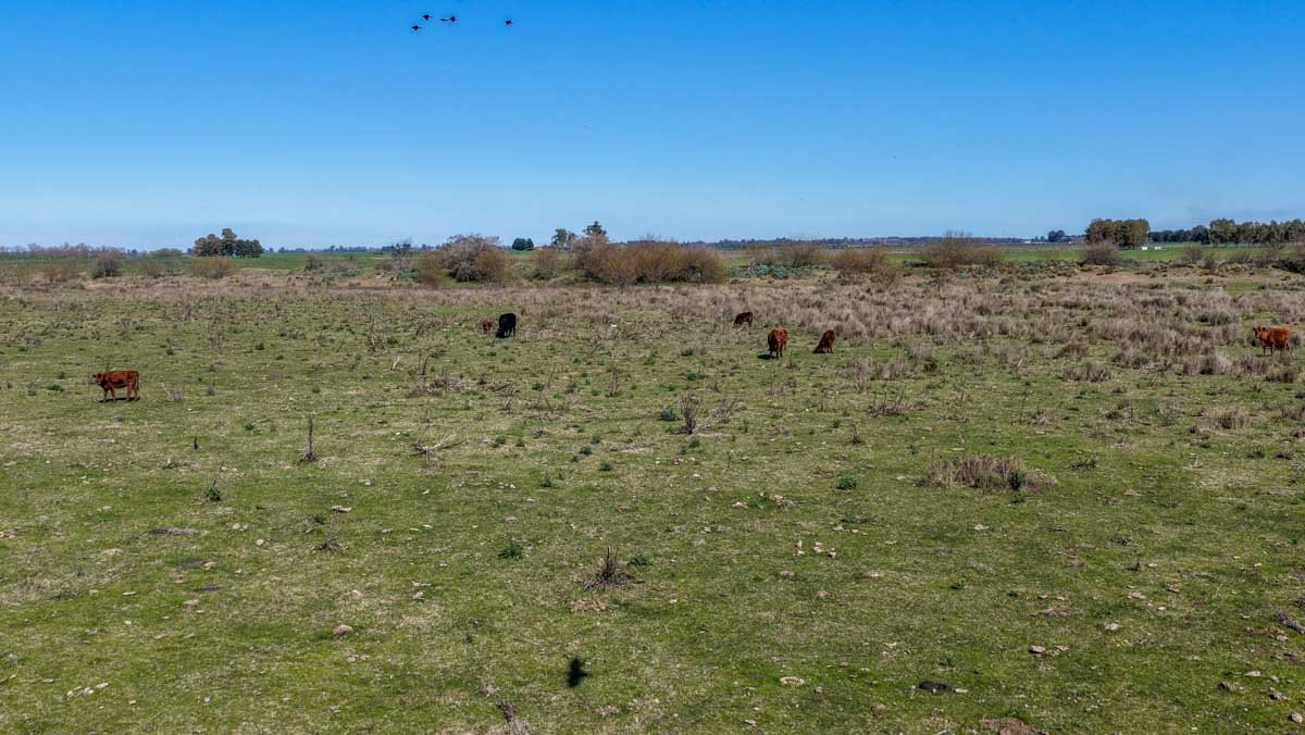 R079 – Campo de 180 hectareas en Lobos, Bs As -web-9