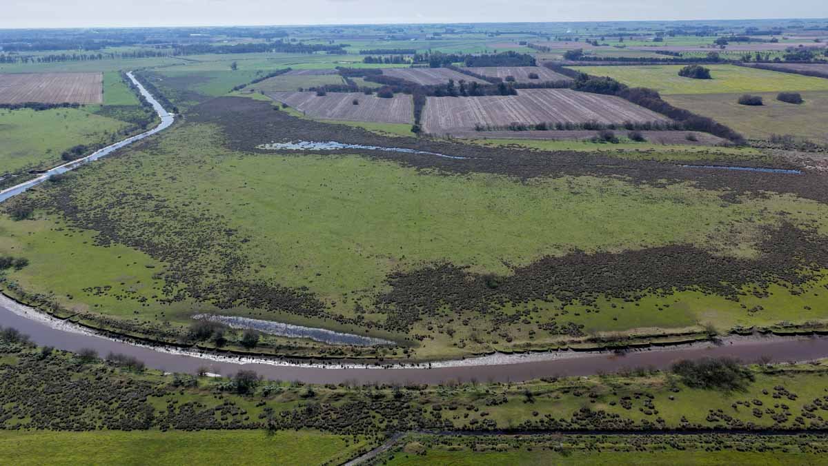 R079 – Campo de 180 hectareas en Lobos, Bs As -web